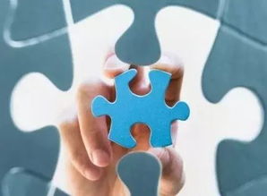 物业管理职业经理人 善管与善治的艺术