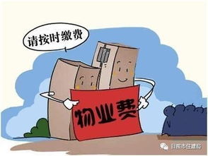 日照市物业管理条例获批 你关心的都在这里