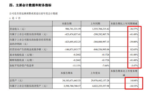 南国置业半年报分析 毛利率28.7%但仍亏损4.23亿，物业管理业态承压